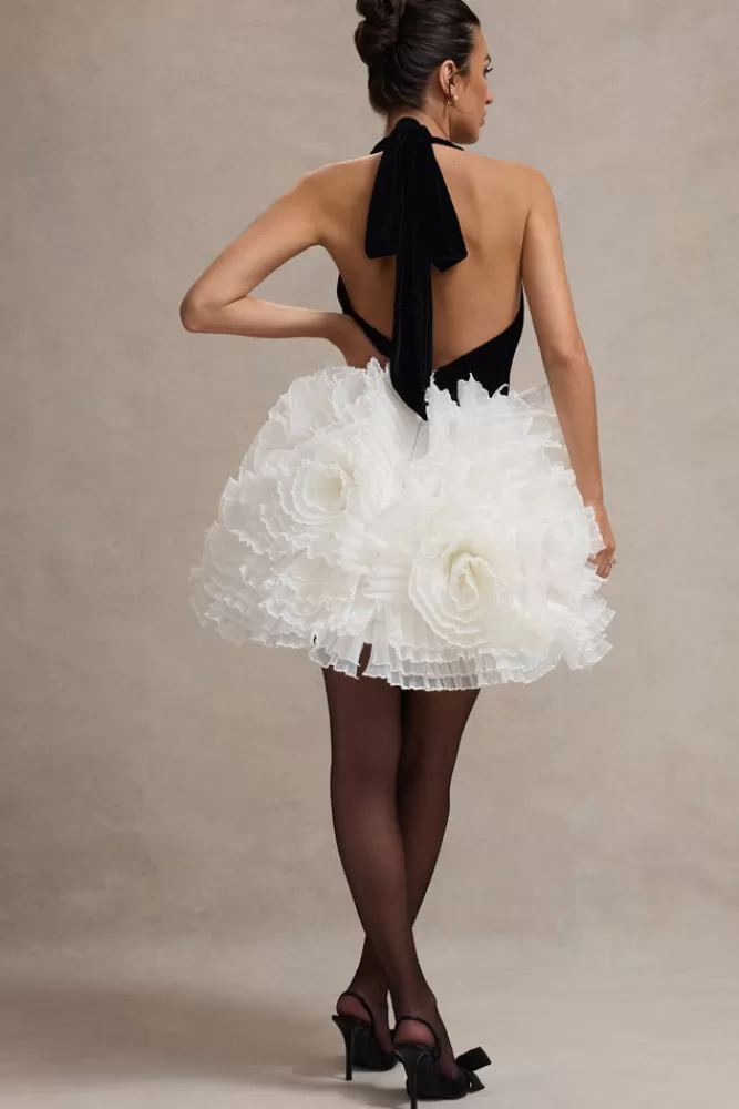 Club L London Meringue | Black Velvet Plunge-Neck Mini Dress With Tulle Skirt BLACKANDCREAM Flash Sale